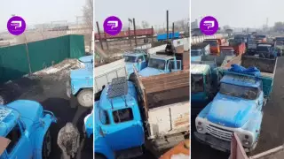 Шамалғанда көмір үшін таласқандардың дауы: әкімдік видеоға қатысты пікір білдірді