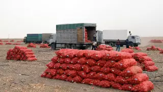 Үкімет басшысы әлеуметтік азық-түлік тауарларының бағасын реттеудегі Жамбыл облысының тәжірибесін үлгі етті