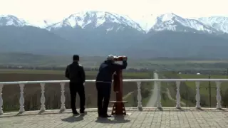 Түркістан облысында 15 миллион теңгенің бақылау алаңы бүлінді