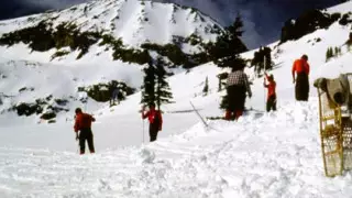 АҚШ-та 40 жыл бұрын жұмбақ жағдайда жоғалған туристің мәйіті табылды