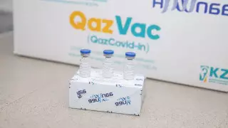 "Әзірше нақты келісімге келмедік" - Цой QazVac экспорты туралы