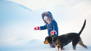 16 жасқа дейінгі балаларға кейбір ит тұқымдарымен серуендеуге тыйым салынуы мүмкін