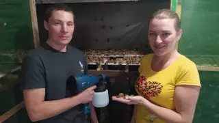 Қостанайлық ерлі-зайыпты ұлу шаруашылығын ашты