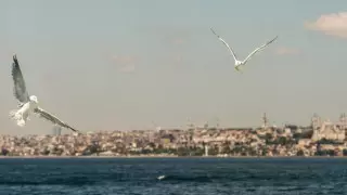 Босфорда желдің салдарынан қозғалыс тоқтатылды