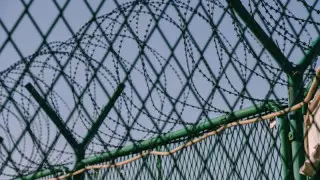 Шымкенттік әйел 29 жыл іздеген ұлын колониядан тапты