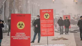 Цой "омикрон" штамына байланысты жаңа шектеулер туралы сұраққа жауап берді