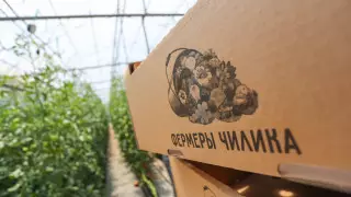 Алматы облысында шаруалар кооператив арқасында қарқынды дамып келеді