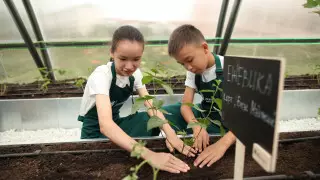 Жылыжайлар және жаңа әуежай терминалы: Болат Өтемұратов Қоры жыл қорытындысын шығарды