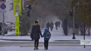 Нұр-Сұлтанда аязға байланысты бірінші ауысымдағы 0-4-сынып оқушылары қашықтан оқиды