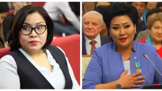 Туысы Хаменованың ұсталуы туралы пікір білдірді