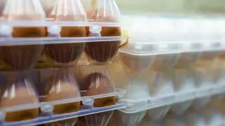 Қазақстанның жұмыртқа өндірушілер қауымдастығы жұмыртқа бағасы төмендегенін мәлімдеді