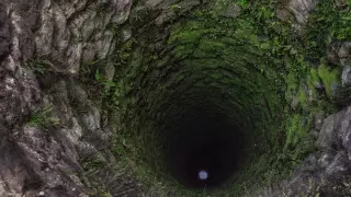 Геологтар мыңнан аса аяғы бар тіршілік иесін тапты