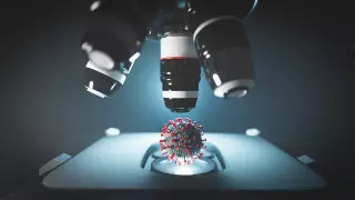 Алматыда коронавирустың жаңа штамы анықталды, бірақ омикрон емес - Бекшин