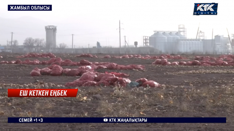 КТК телеарнасынан алынған скриншот