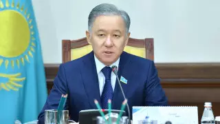 Мәжіліс спикері: Президент шешімі дұрыс әрі дер кезінде қабылданды