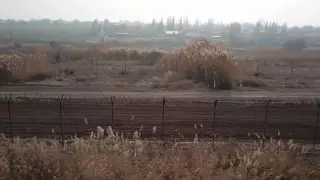 Өзбекстан Қазақстанмен шекарасын жапты