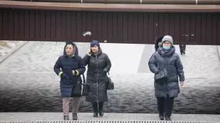 Кейінгі тәулікте коронавирустан қанша адам қайтыс болды?