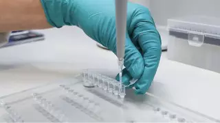 Омикрон жұқтырғандардың 73 пайызында кездесетін симптом айтылды