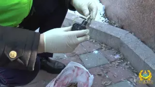 Алматыда метро бекетінен оқ-дәрі табылды