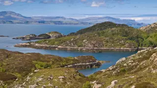 Оқшауланған аралда ғашықтар үшін бос жұмыс орны табылды