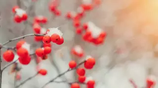 Тұман және көктайғақ. Қазақстанда алдағы күндері ауа райы қандай болады?