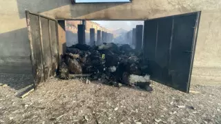 Түркістан облысындағы өрттен қойшы қаза тауып, мыңнан аса қой қырылды