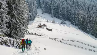 Алкогольді қолданушылардың порнофотосуреттері