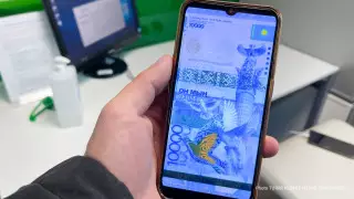 Депутат қаңтарда шетелге жіберілген ірі аударымдар туралы мәліметті жариялауды ұсынды