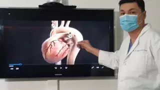 Павлодарда жүрекке бірегей ота жасаған кардиология орталығының директоры жұмыстан қуылған