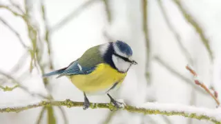 Алдағы күндері ауа райы қандай болады?