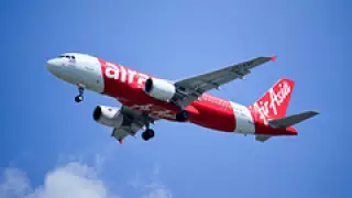 Борттағы жылан ұшақтың шұғыл қонуына себеп болды