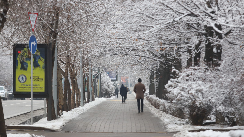 Фото: Әлихан Сариев