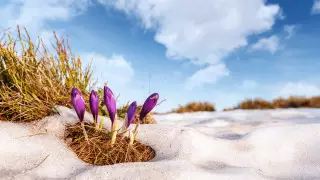 Көктемде ауа райы қандай болады? Қазгидромет болжамы