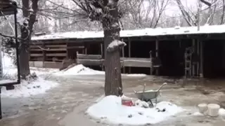 "Күндіз-түні нан пісірдік". Өзбекстандықтар Қазақстанның оңтүстігінде құлдықта болған