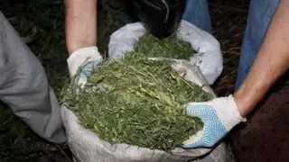 Жамбыл облысында үйінде 60 келіге жуық есірткі сақтаған ер адам ұсталды