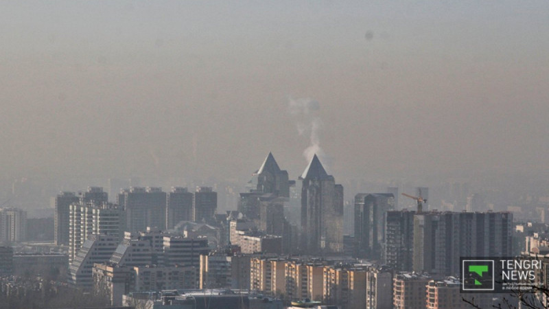 © Николай Колесников