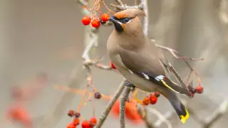 Көктемнің алғашқы күндерінде ауа райы қандай болады?