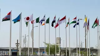 Араб елдері Украинадағы жағдайға бейтараптық танытты