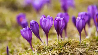 Алдағы күндері ауа райы қандай болады?