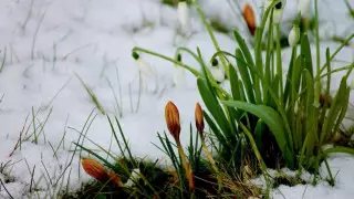 Алдағы аптада Алматыда ауа райы қандай болады?