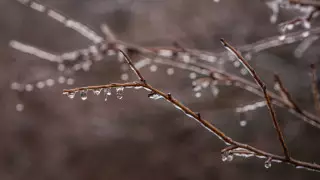 Алдағы демалыс күндері ауа райы қандай болады?