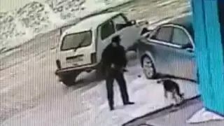 Батыс Қазақстан облысында әкім иттерді атып тастады