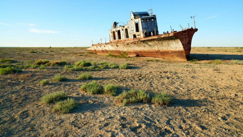 Торпедолов ТМ-99©Shutterstock