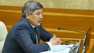 "Жаңарған деректерді тыңдадық" - депутат қаңтар оқиғасының тергелу барысы туралы
