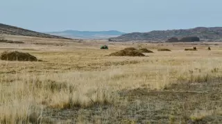 Тоқаев жер аумағынан айырылып қалған елдер туралы айтты