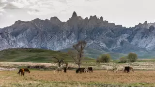 Азиялық метродағы қудалау порно