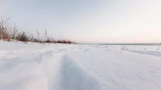 Қарағанды ​​облысында Toyota Land Cruiser көлігінің екі жолаушысы қаза тапты