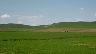 Қазақстандық банктерден пайдаланылмайтын ауыл шаруашылығы жерлері мәжбүрлеп алынады