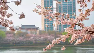 Қазақстандықтар Оңтүстік Кореяға визасыз қайта кіре алады