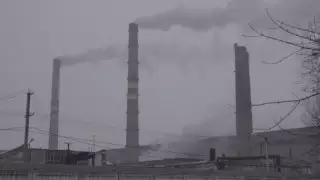 "СЕВКАЗЭНЕРГО" АҚ бас директоры ұсталды